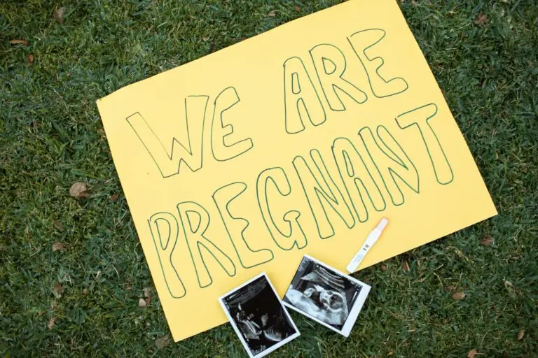 Yellow sign with 'We Are Pregnant' text beside ultrasound images and test on grass.